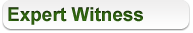 expert witness service