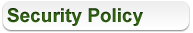 security policy